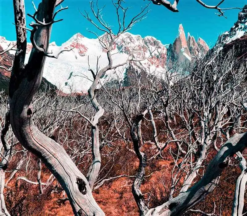 پاییز در پاتاگونیا، منبع عکس: behance.net، عکاس: Lukas Furlan