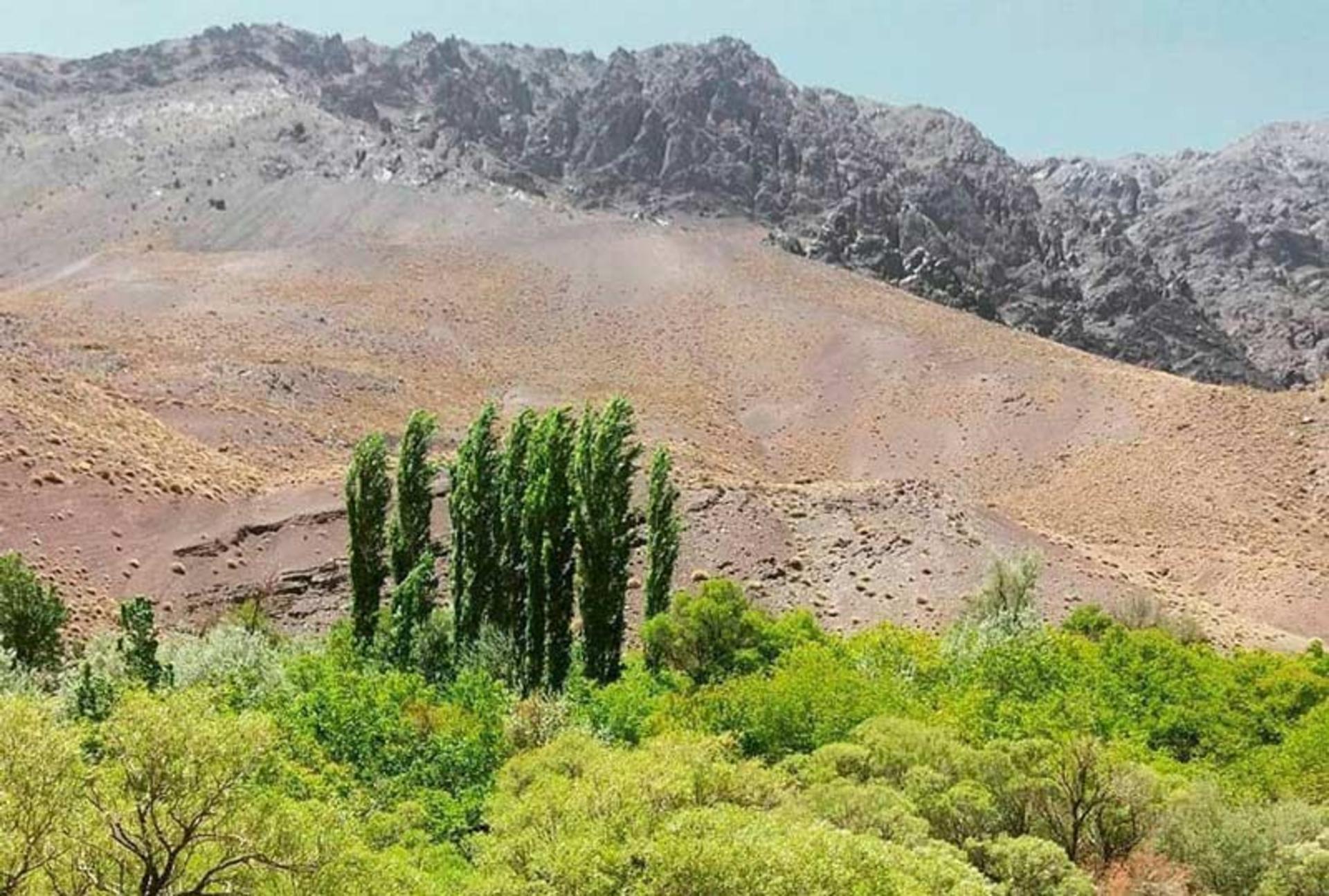درختان سبز و کوه های دره شنگستان کوهپایه کرمان، منبع عکس: صفحه اینستاگرام miras_bashi، عکاس: نامشخص
