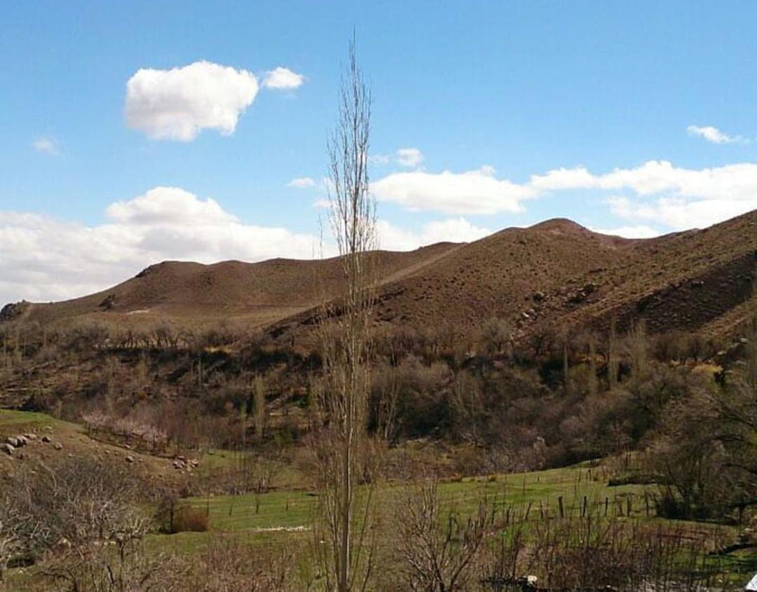 شکوفه درختان در مسیر دره سیمک کوهپایه کرمان، منبع عکس: صفحه اینستاگرام kermooniha، عکاس: mostafa.h.kermani@