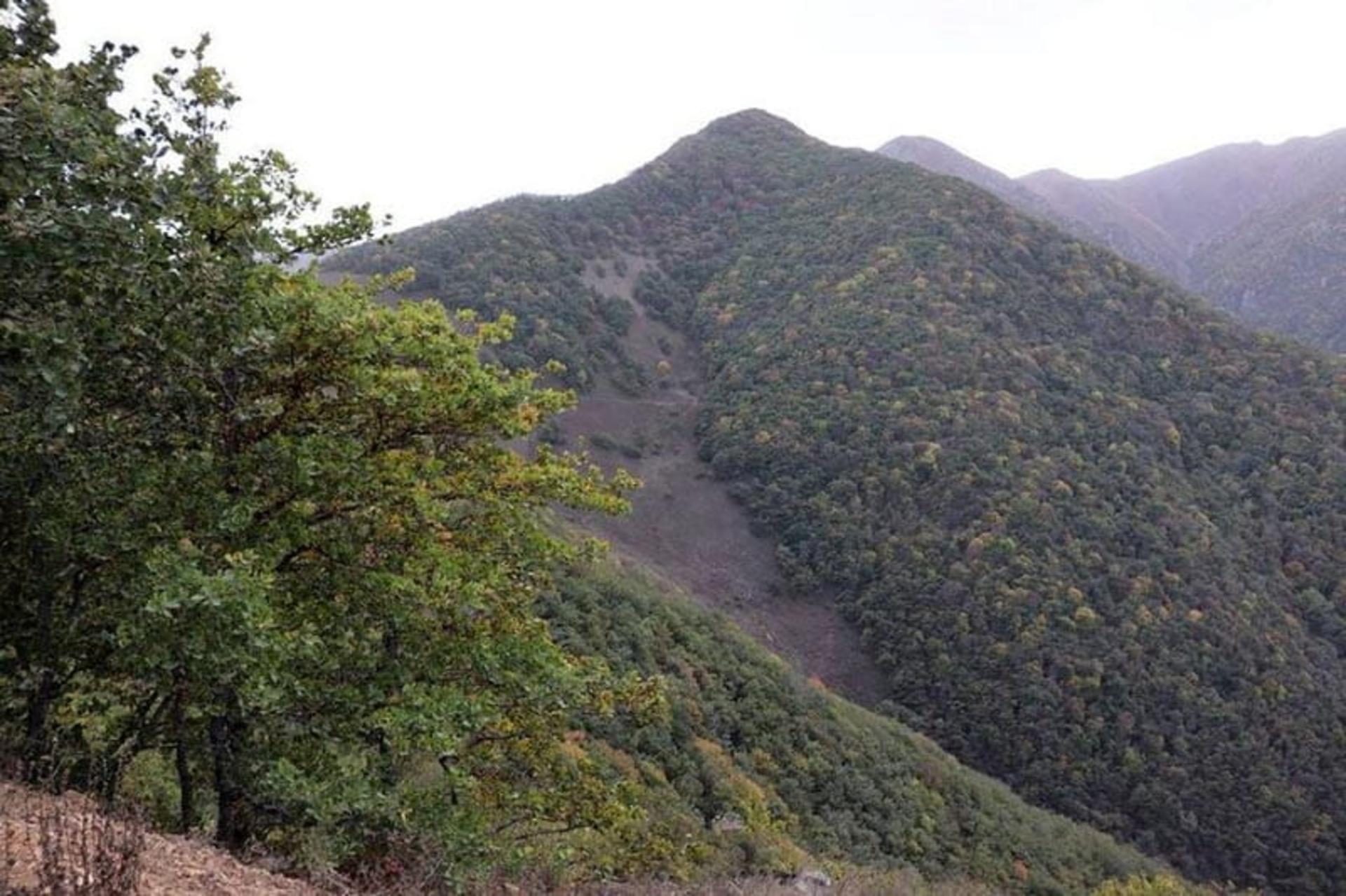 کوهستان پردرخت جنگل دیزمار، منبع عکس: خبرگزاری موج، عکاس: نامشخص