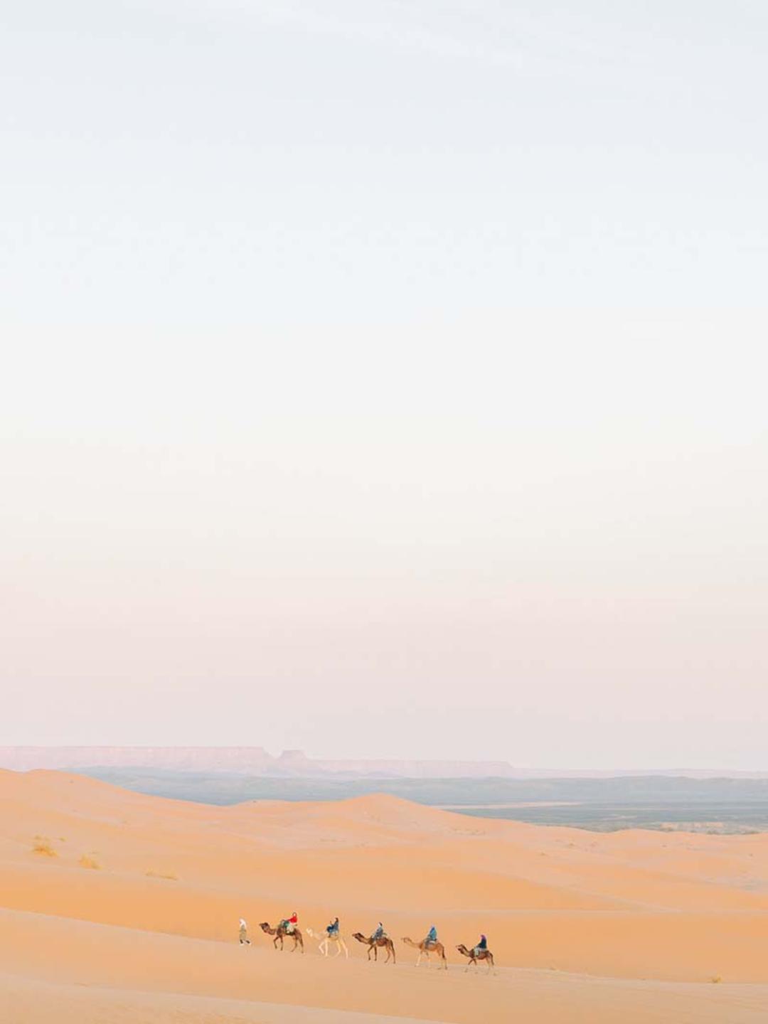  شتر سواری در کویر مراکش
