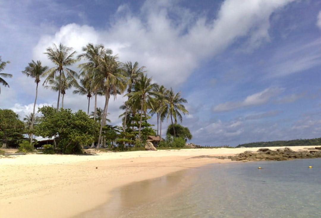 درختان نخل در ساحل شن سفید جزیره پوکت تایلند، منبع عکس: ویکی مدیا، عکاس:Dawn in Phuket