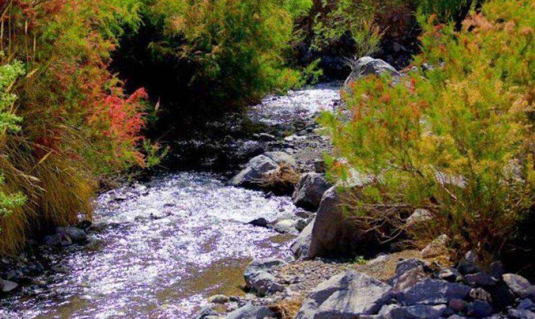 رودخانه و طبیعت روستای ده لولو، منبع عکس: سایت گردشگری کرمان، عکاس: نامشخص