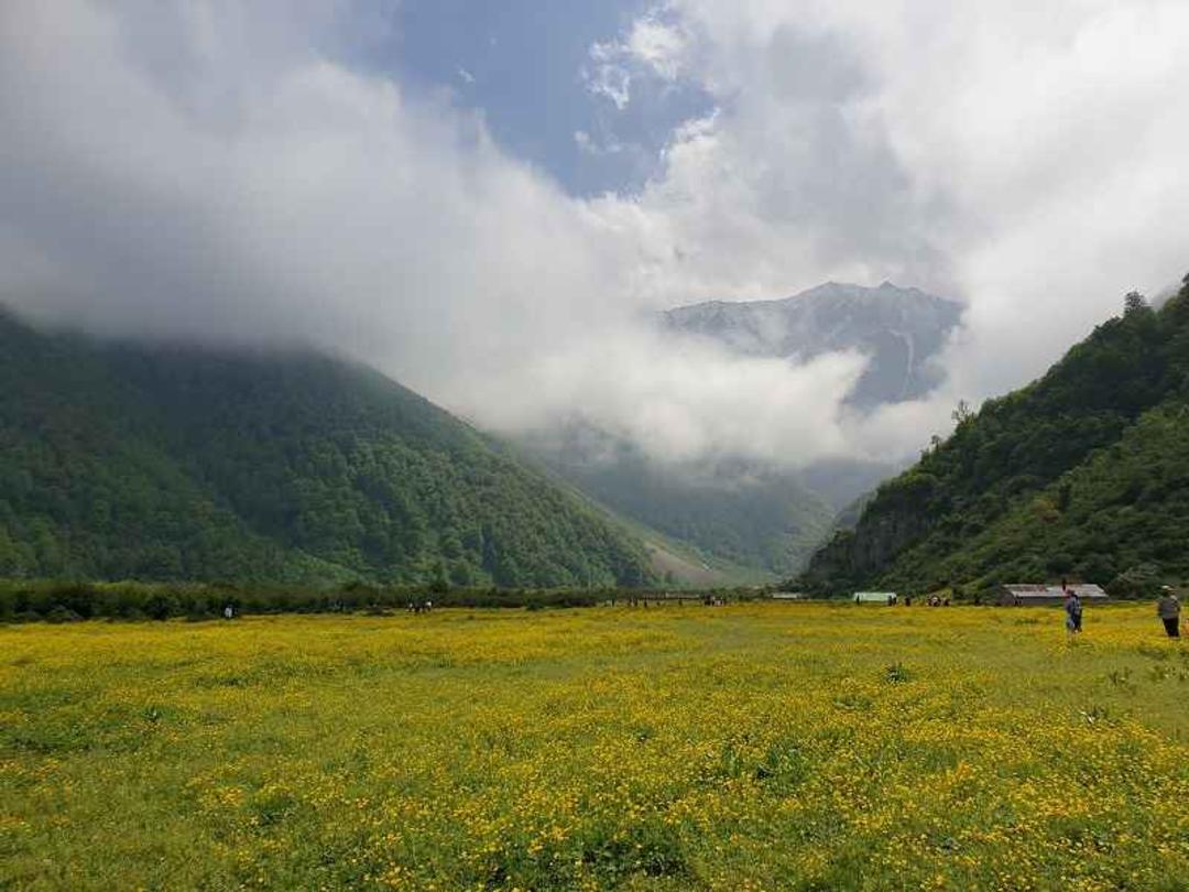 دشت دریاسر در بهار. منبع عکس: گوگل مپ. عکاس: علیرضا کوهستانی کوشکی