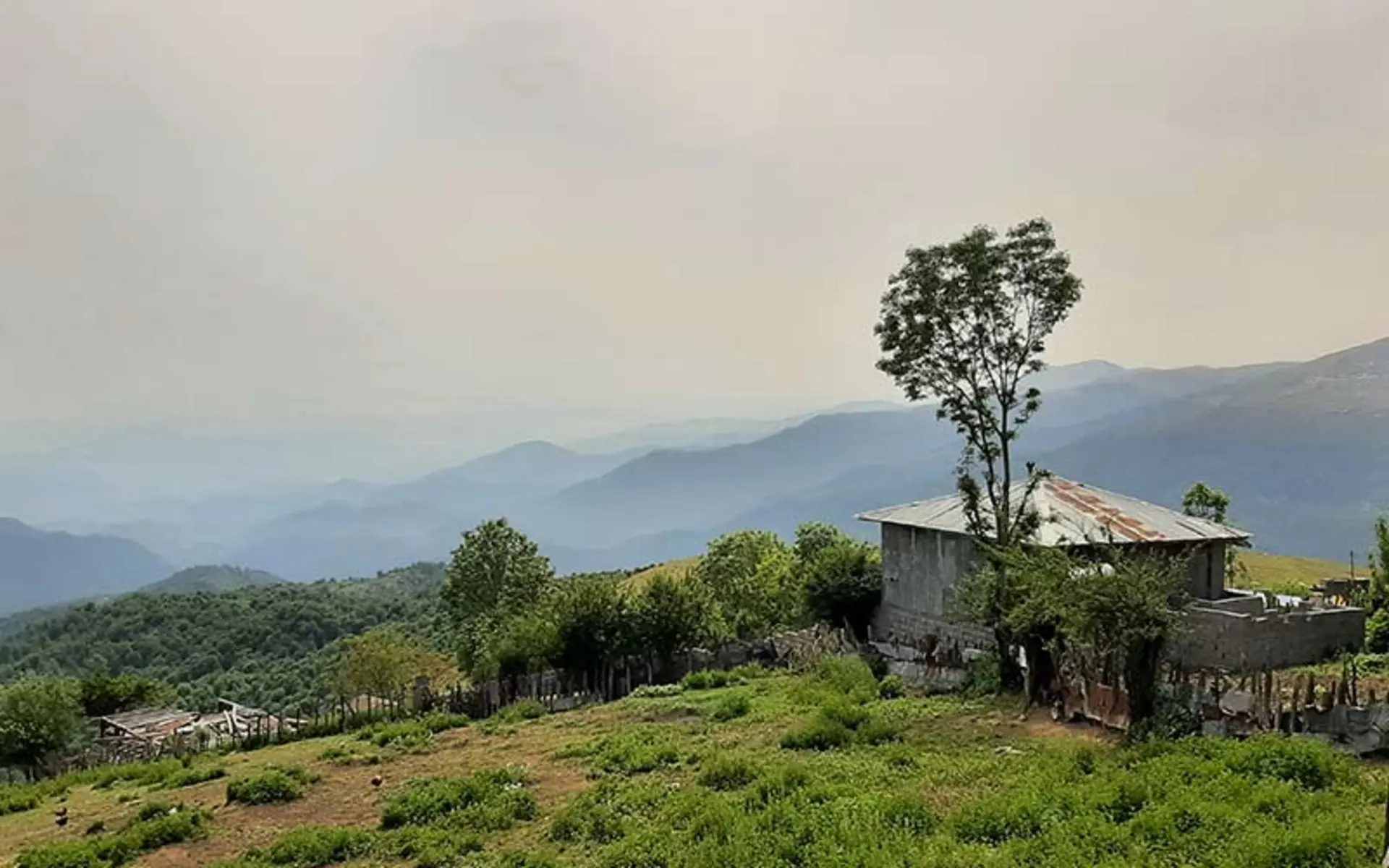 کلبه ای چوبی در دل طبیعت روستای فیلبند مازندران