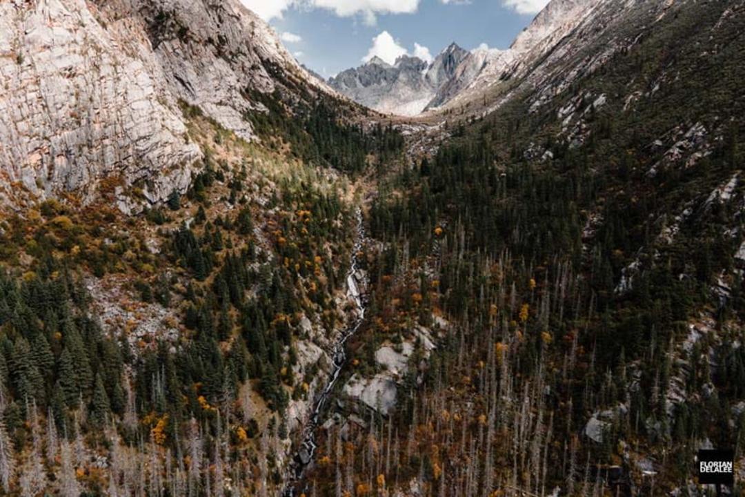 پوشش گیاهی در کوهستان تبت