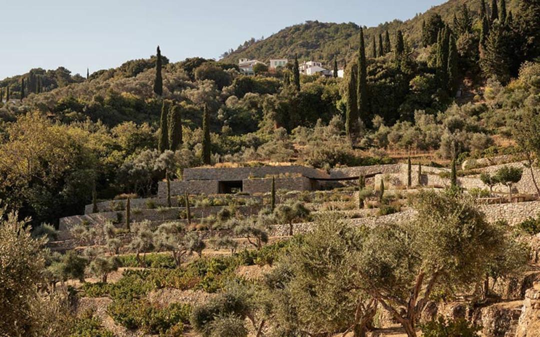 موزه لیکنون یونان، منبع عکس: archdaily.com، عکاس: نامشخص