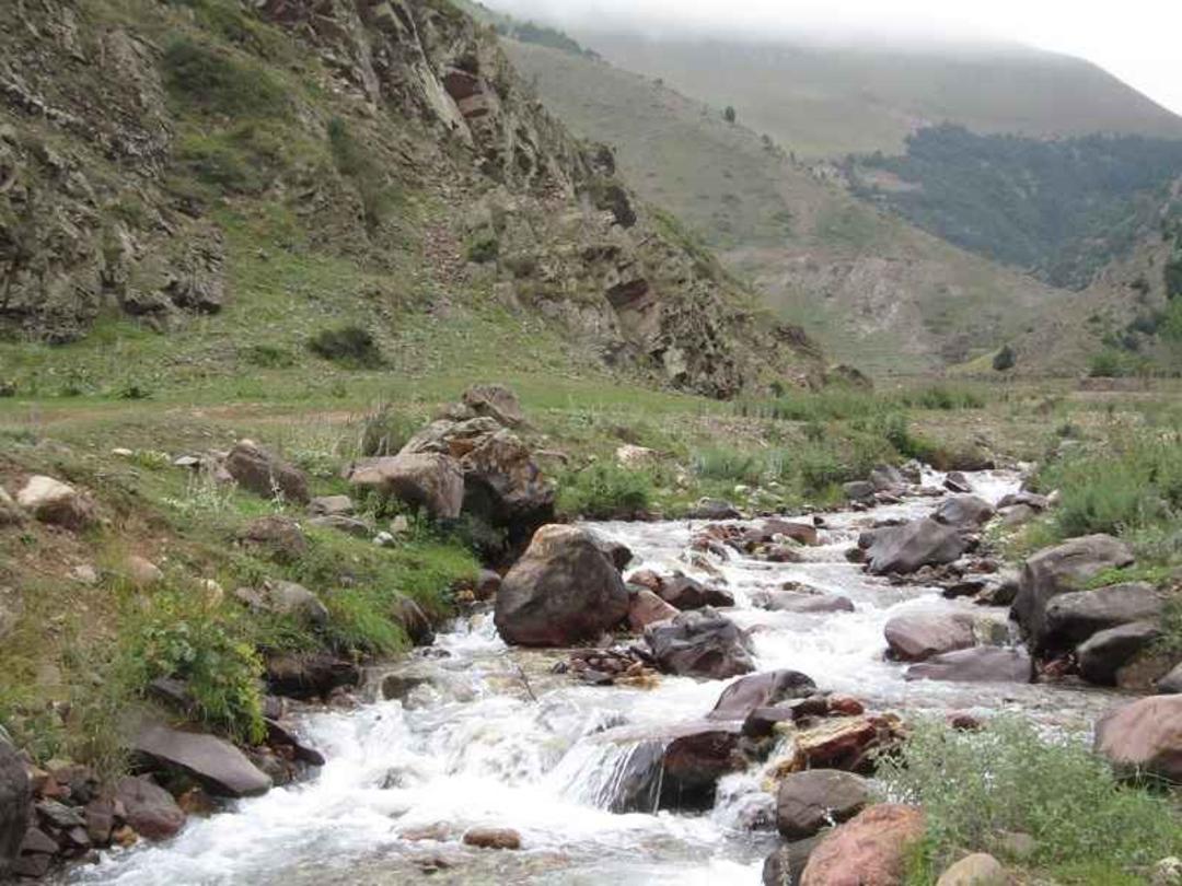 رودخانه روستای دلیر. منبع عکس: گوگل مپ، عکاس: P T