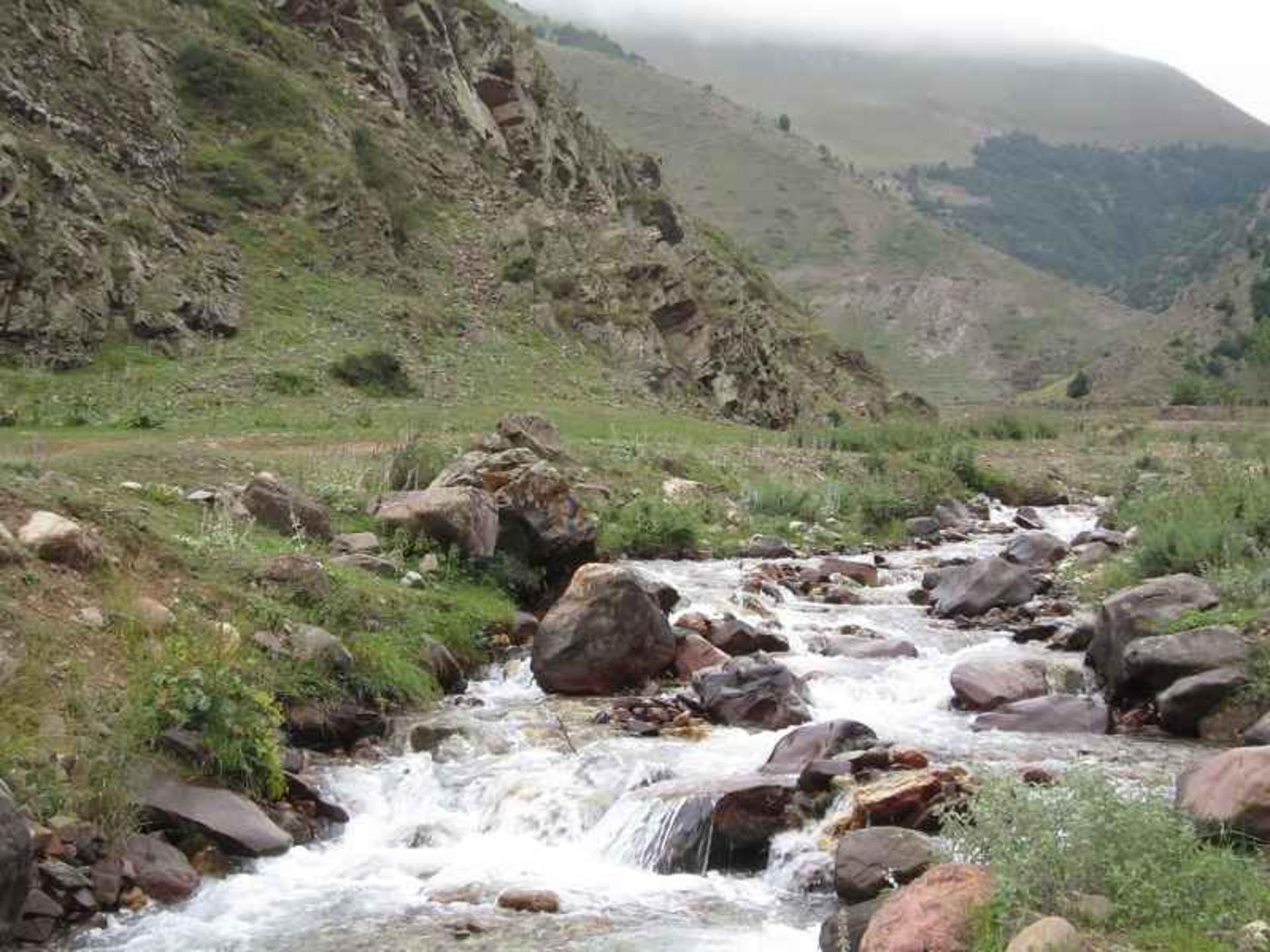رودخانه روستای دلیر. منبع عکس: گوگل مپ، عکاس: P T