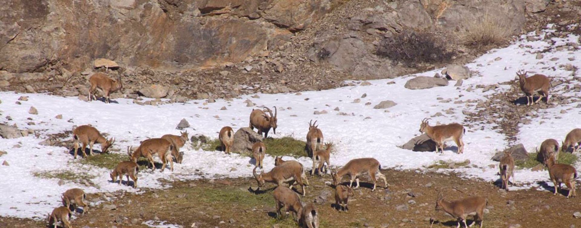 منطقه حفاظت شده پرور؛ منبع عکس: Visit Iran؛ عکاس: نامشخص