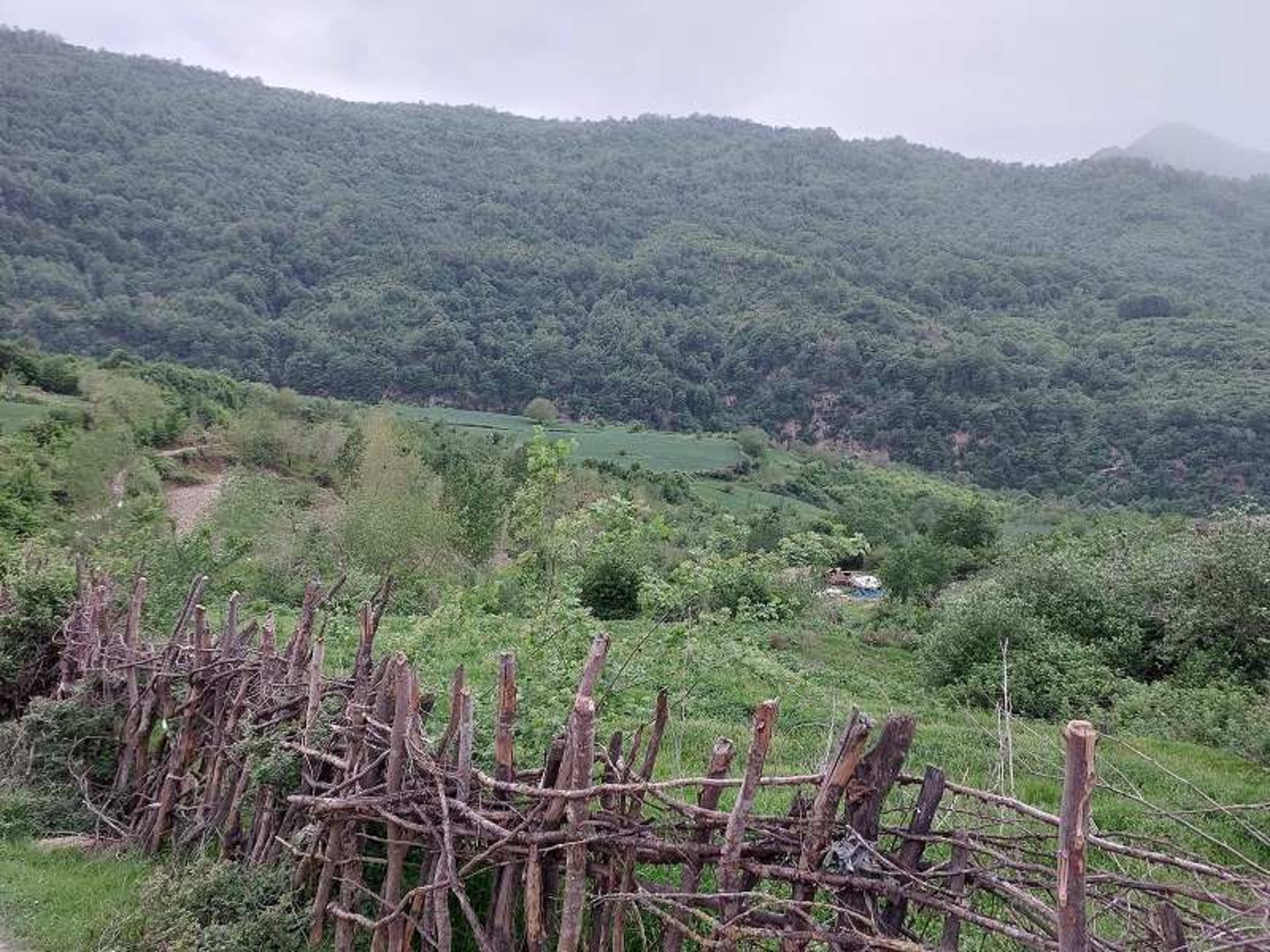 طبیعت روستای ساسنگ؛ منبع عکس: گوگل مپ. عکاس: Amid Dadkhah