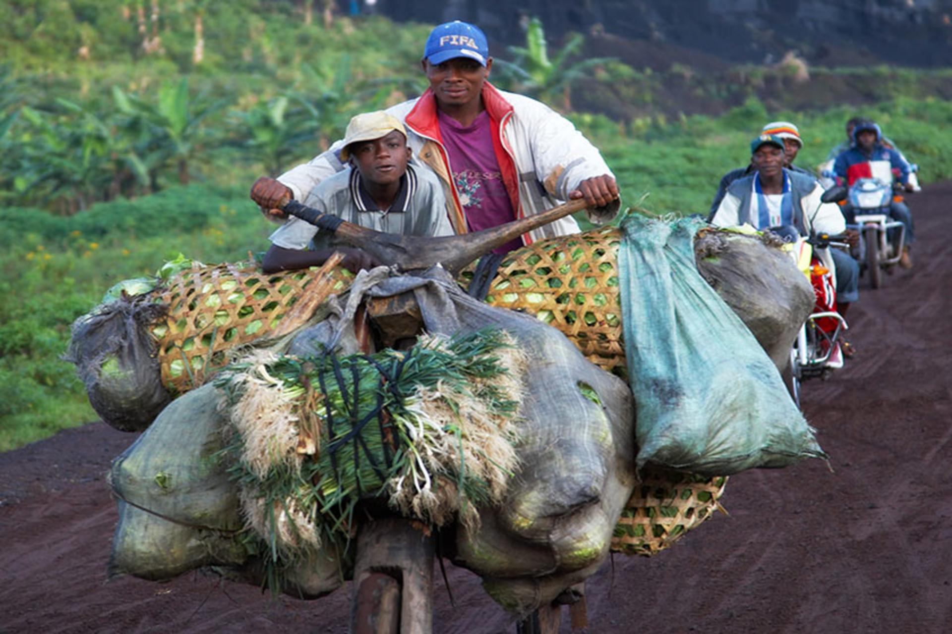 حمل و نقل بومی با چوکودو (Chookoodoo) در آفریقا