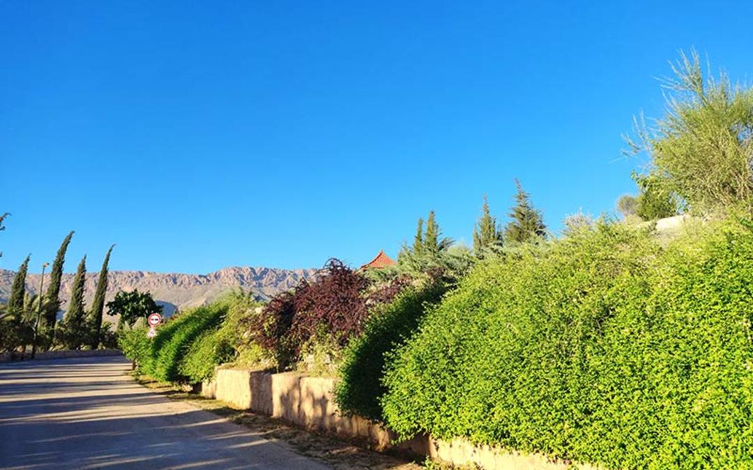 پارک کوهستانی نور در شیراز، منبع عکس: گوگل مپ، عکاس: 