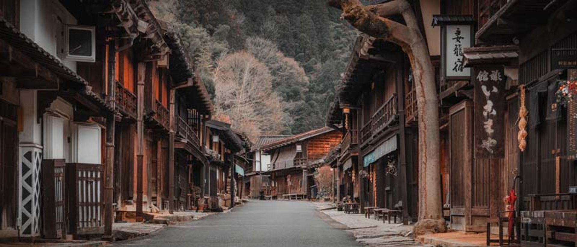 جاده زیبای ناکاسندو در ژاپن
