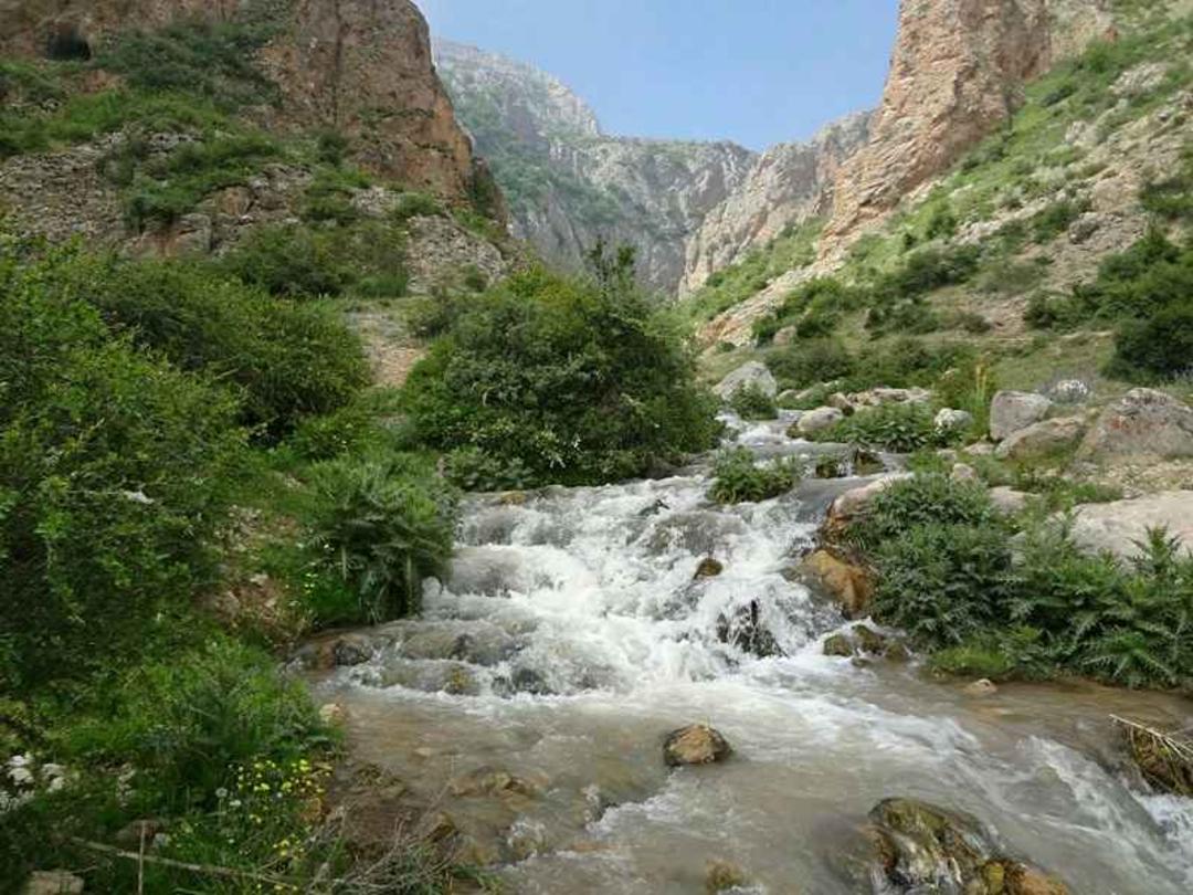 رودخانه روستای دراسله. منبع عکس: گوگل مپ. عکاس: حسین متولی