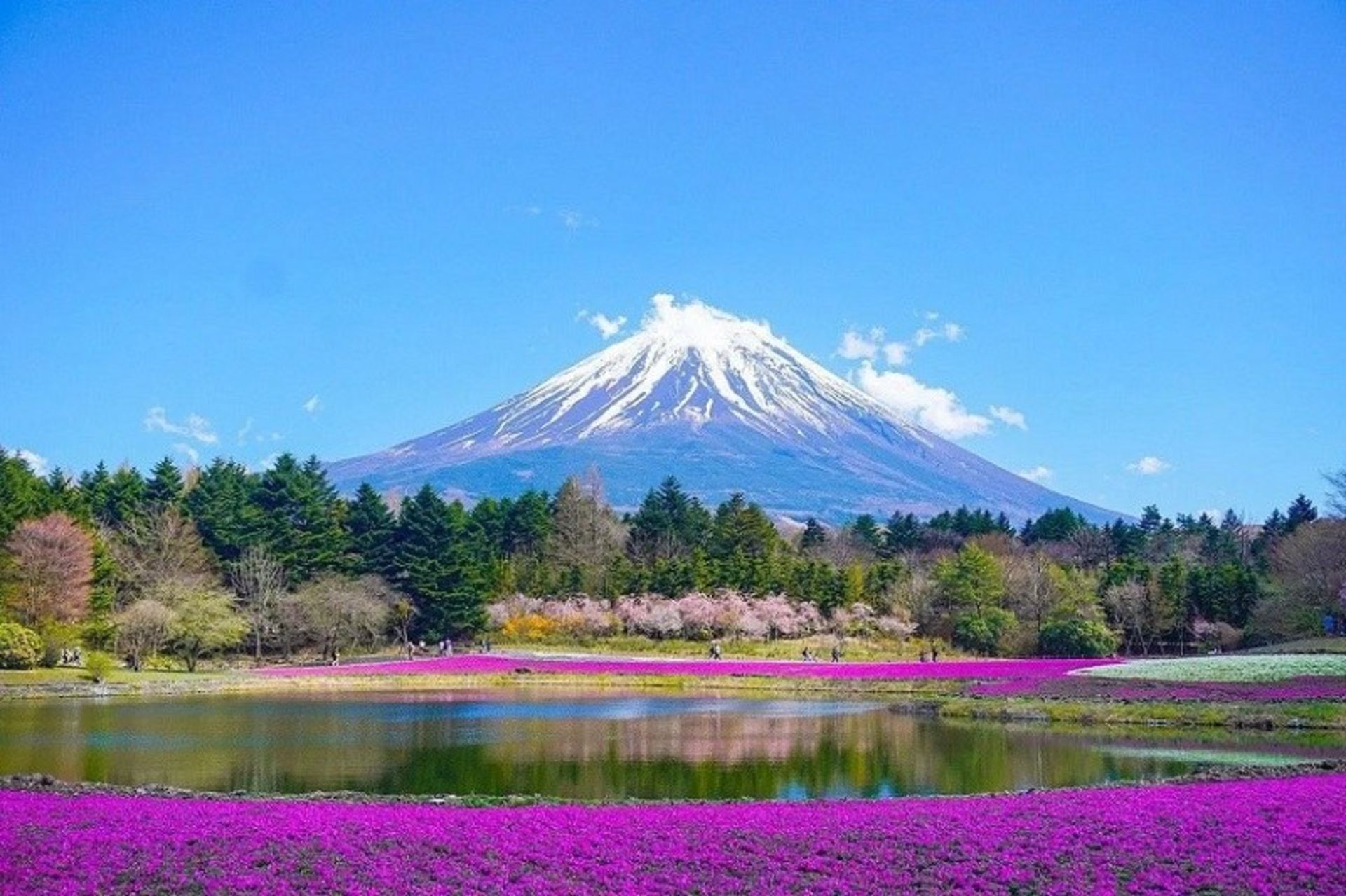 کوه فوجی در زیباترین جاذبه های ژاپن؛ منبع عکس: وب سایت Sevennaturalwonders.org.عکاس: نامشخص