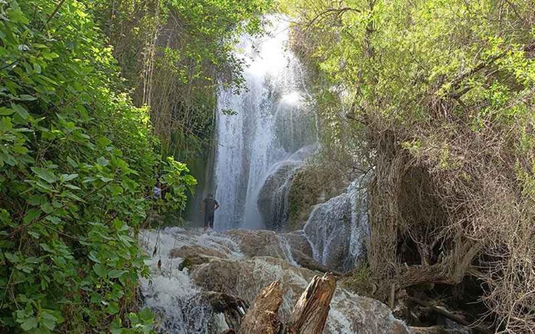 طبیعت سرسبز اطراف آبشار کوهمره سرخی