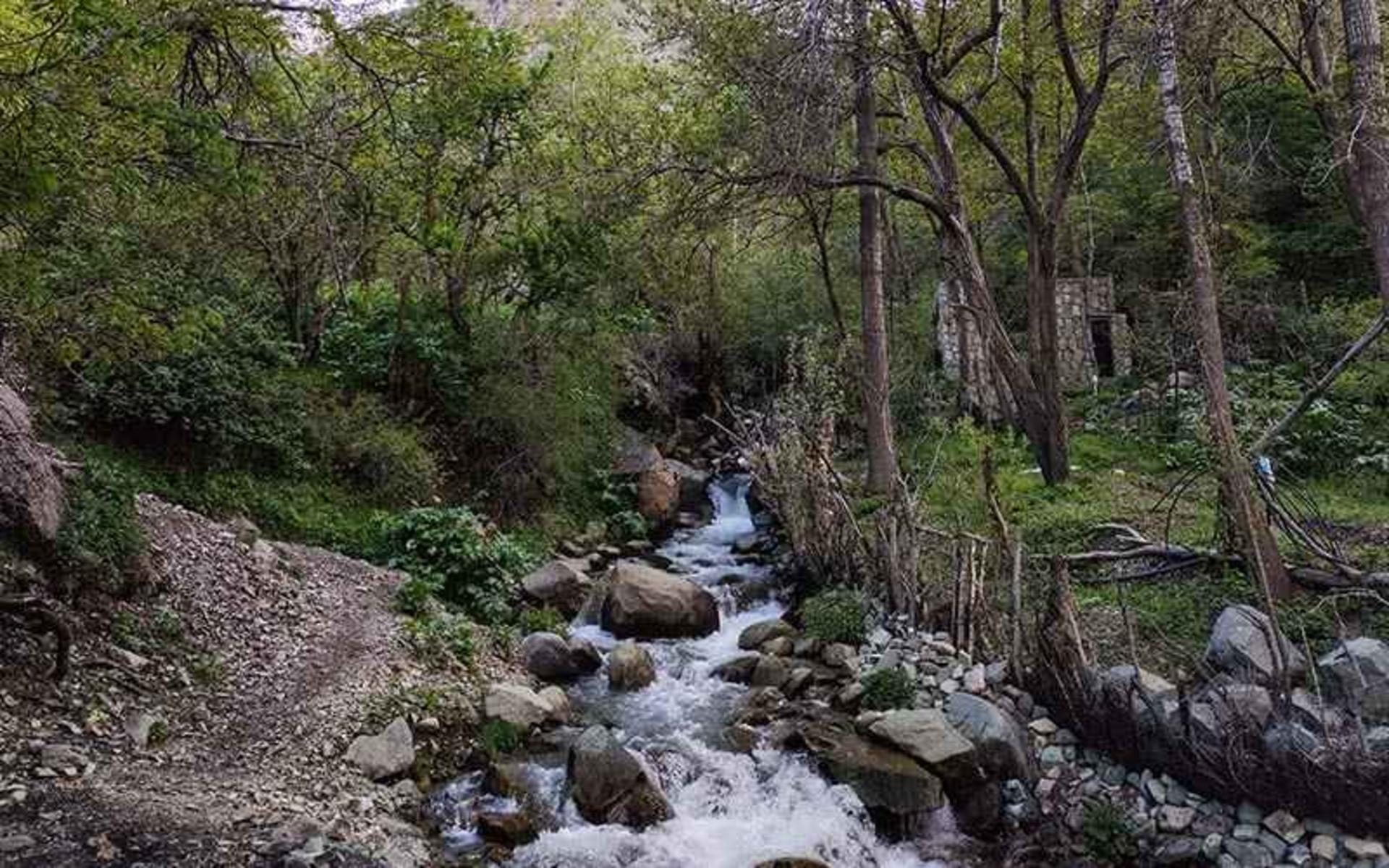 رودخانه و جنگل سرسبز روستای ایگل
