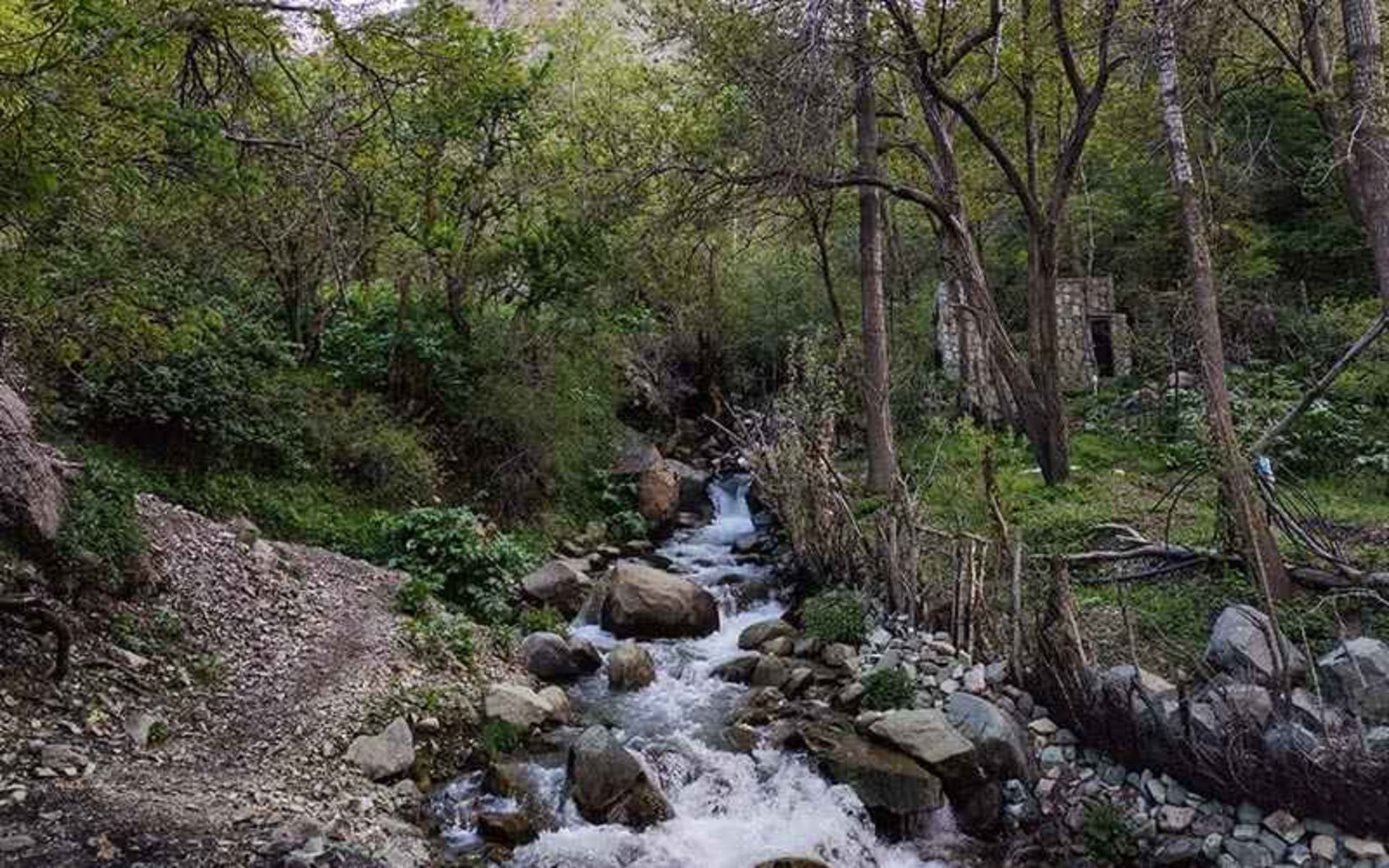 رودخانه روستای ایگل، منبع عکس: گوگل مپ، عکاس: عرفان آریان منش