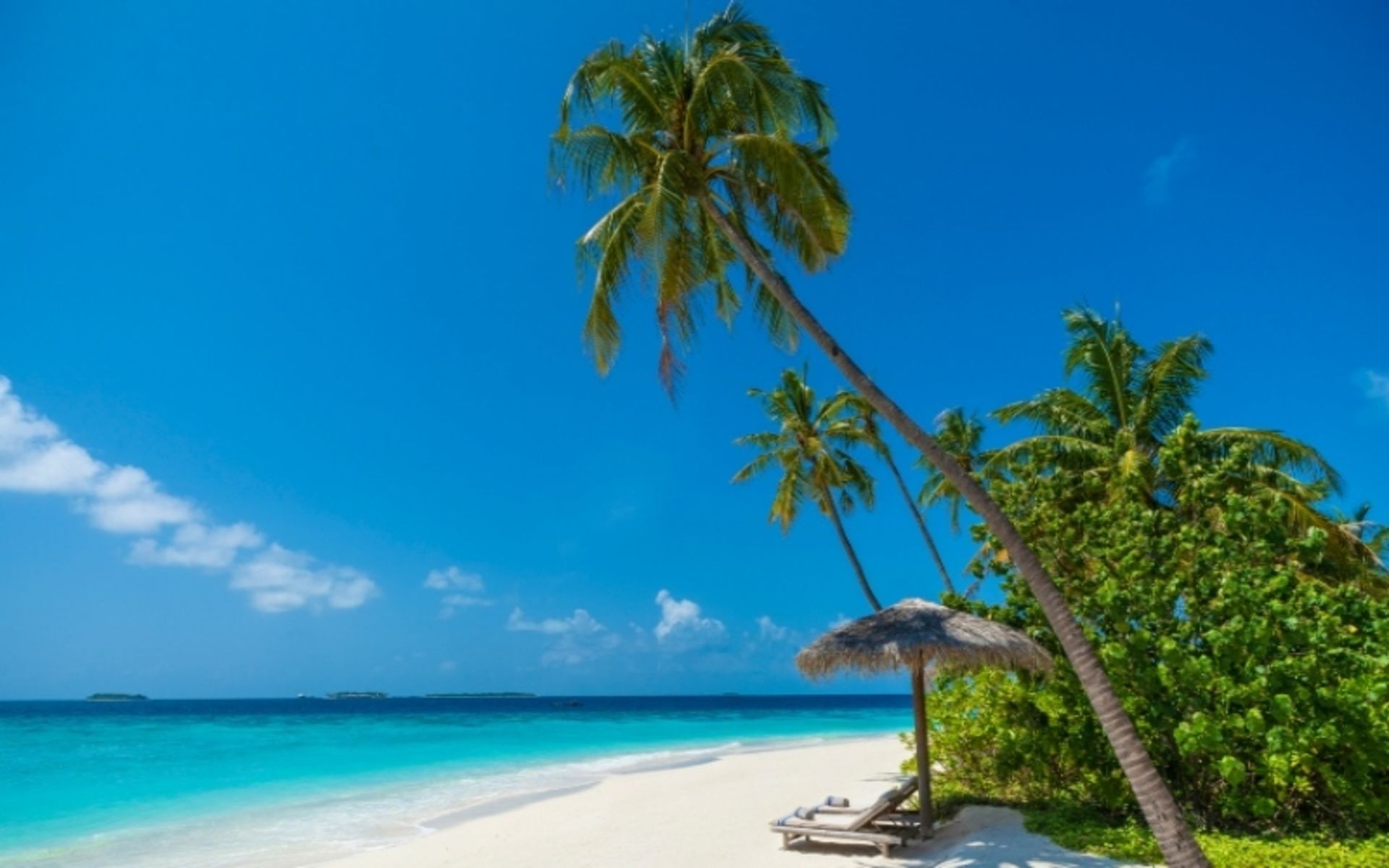 جزیره با آتول با آسمانی آبی؛ منبع عکس: سایت www.milaidhoo.com. عکاس: نامشخص