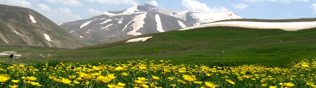 مراتع پرگل و سرسبز دامنه کوه سهند، منبع عکس: ویکی مدیا، عکاس: مهرداد سرهنگی