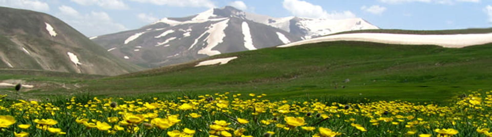مراتع پرگل و سرسبز دامنه کوه سهند، منبع عکس: ویکی مدیا، عکاس: مهرداد سرهنگی