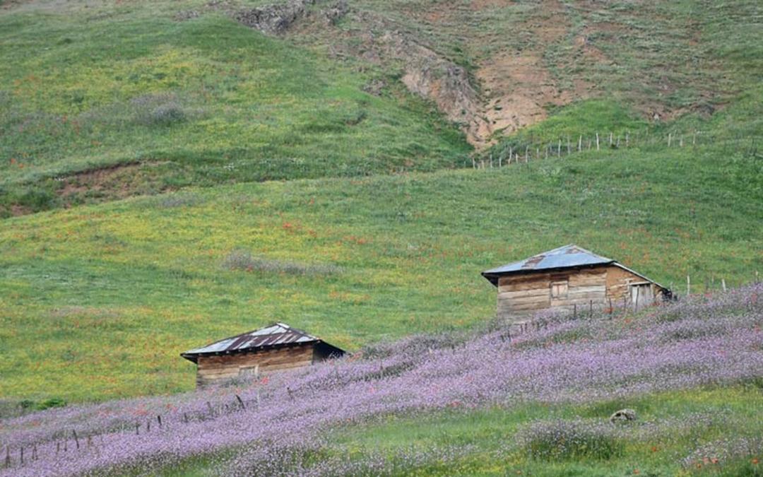 کلبه های چوبی در دامنه های ییلاق سوباتان