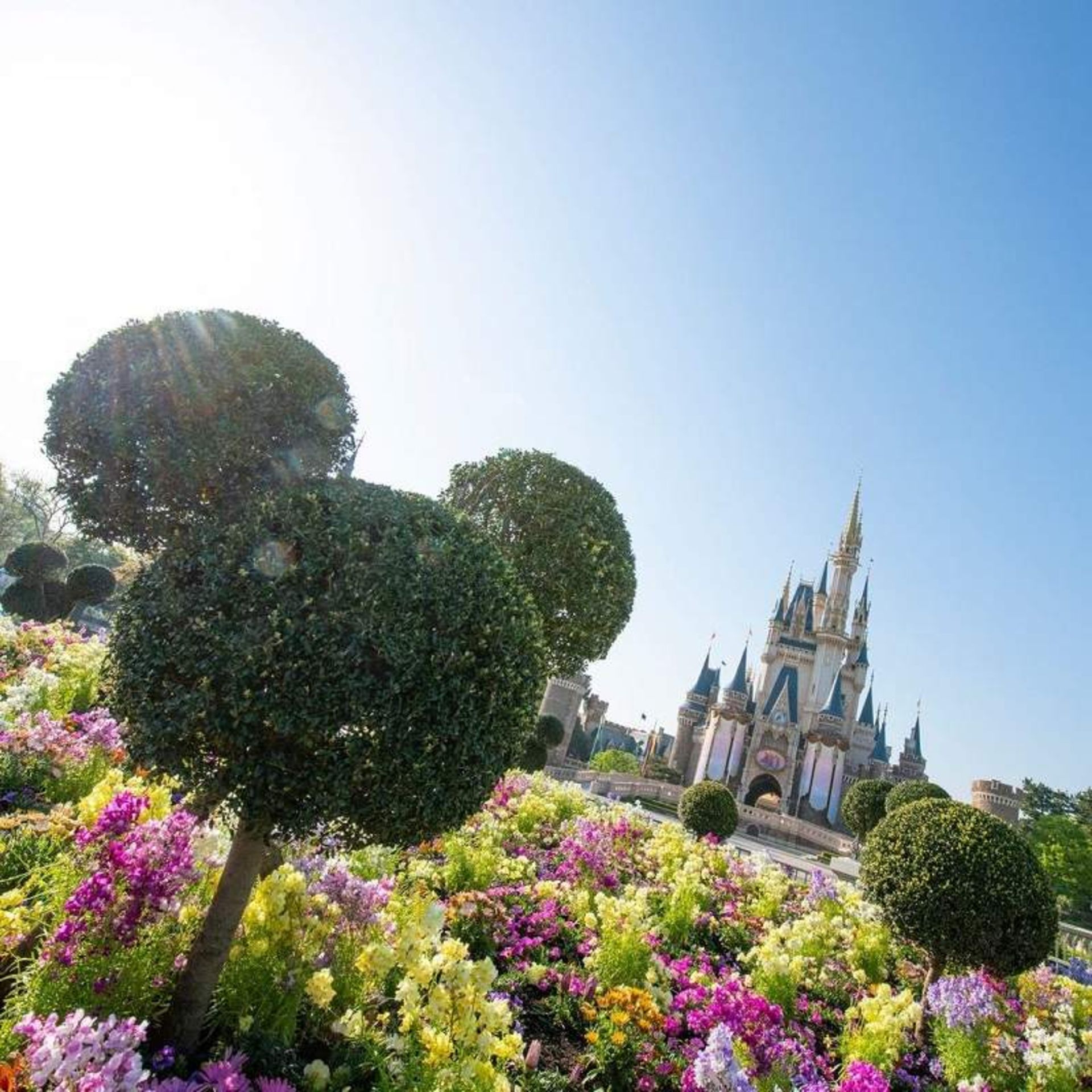 تزیین درختان به شکل میکی موس در دیزنی لند توکیو؛ منبع عکس: اینستاگرام Tokyodisneyresort_official. عکاس: نامشخص