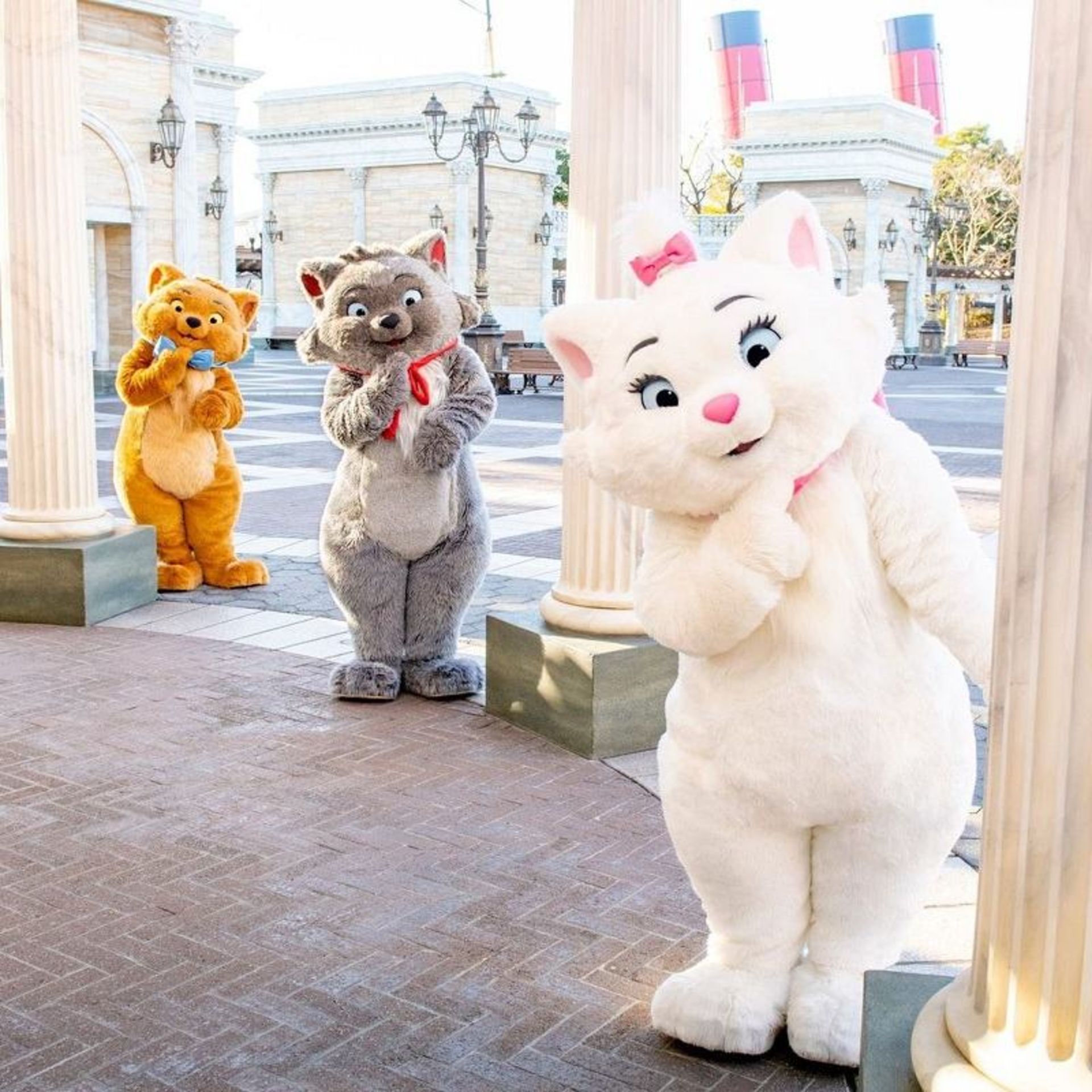 شخصیت های گربه های کیوت در دیزنی لند توکیو؛ منبع عکس: اینستاگرام Tokyodisneyresort_official. عکاس: نامشخص