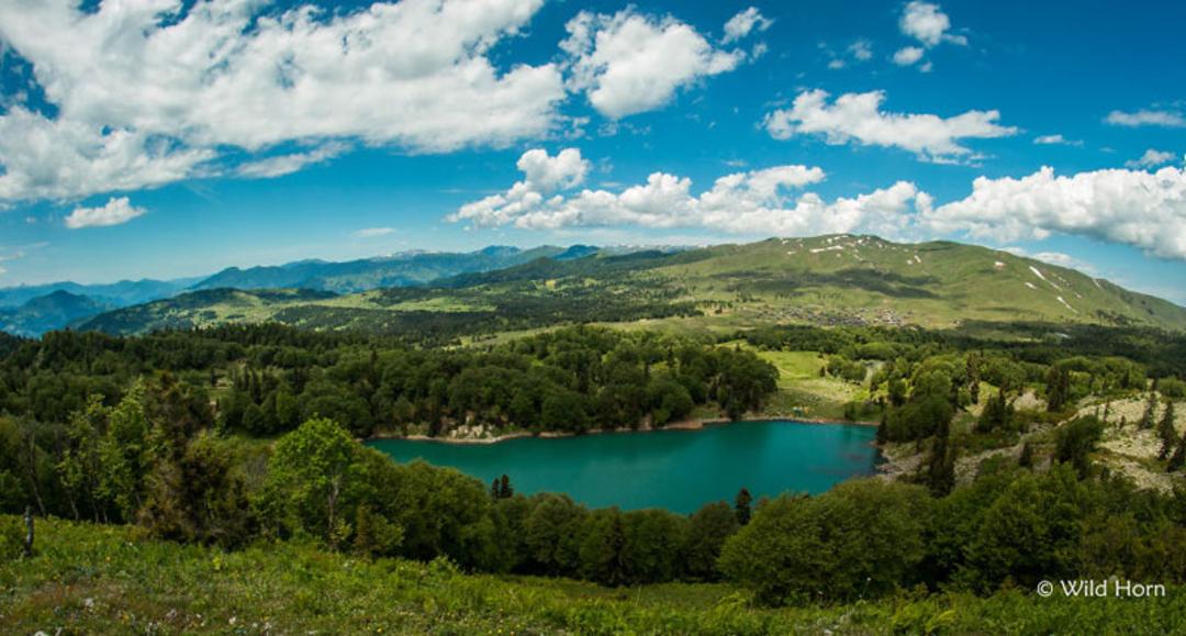 دریاچه سبز (Green lake) در گرجستان