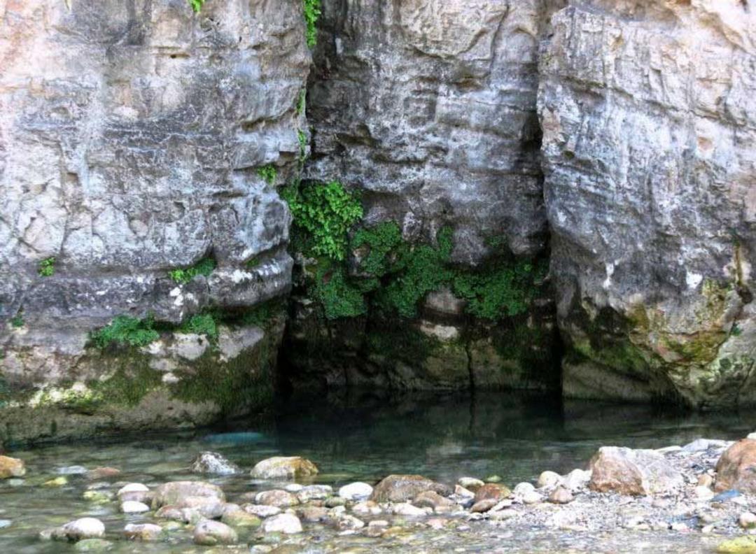 چشمه جزی بهشهر؛ منبع عکس: wikimedia، نام عکاس: نامشخص