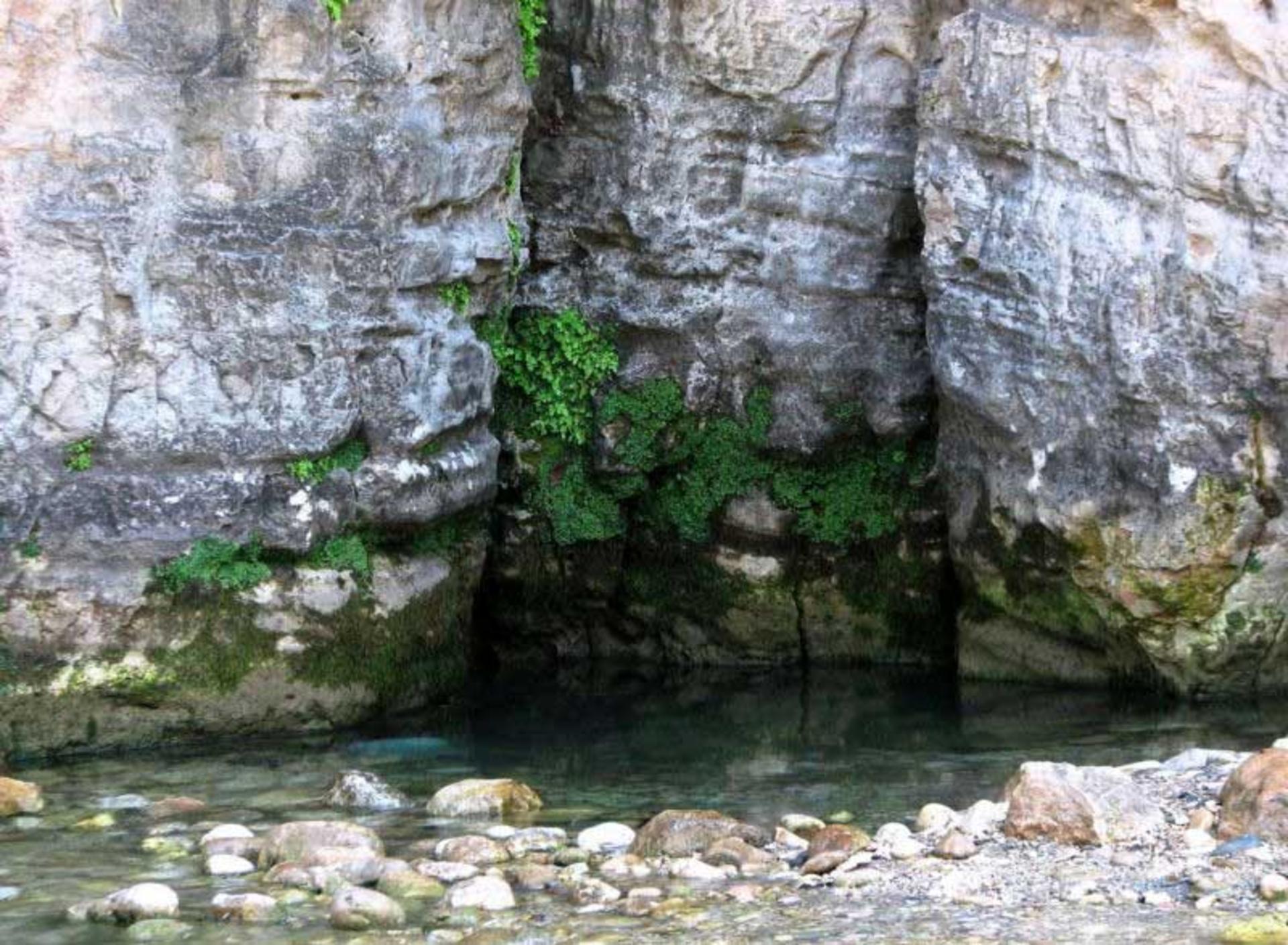 چشمه جزی بهشهر؛ منبع عکس: wikimedia، نام عکاس: نامشخص