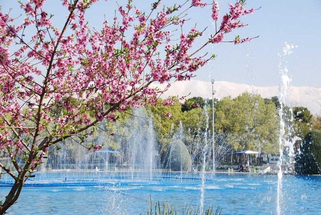 آب نما و شکوفه های درختان در پارک لاله