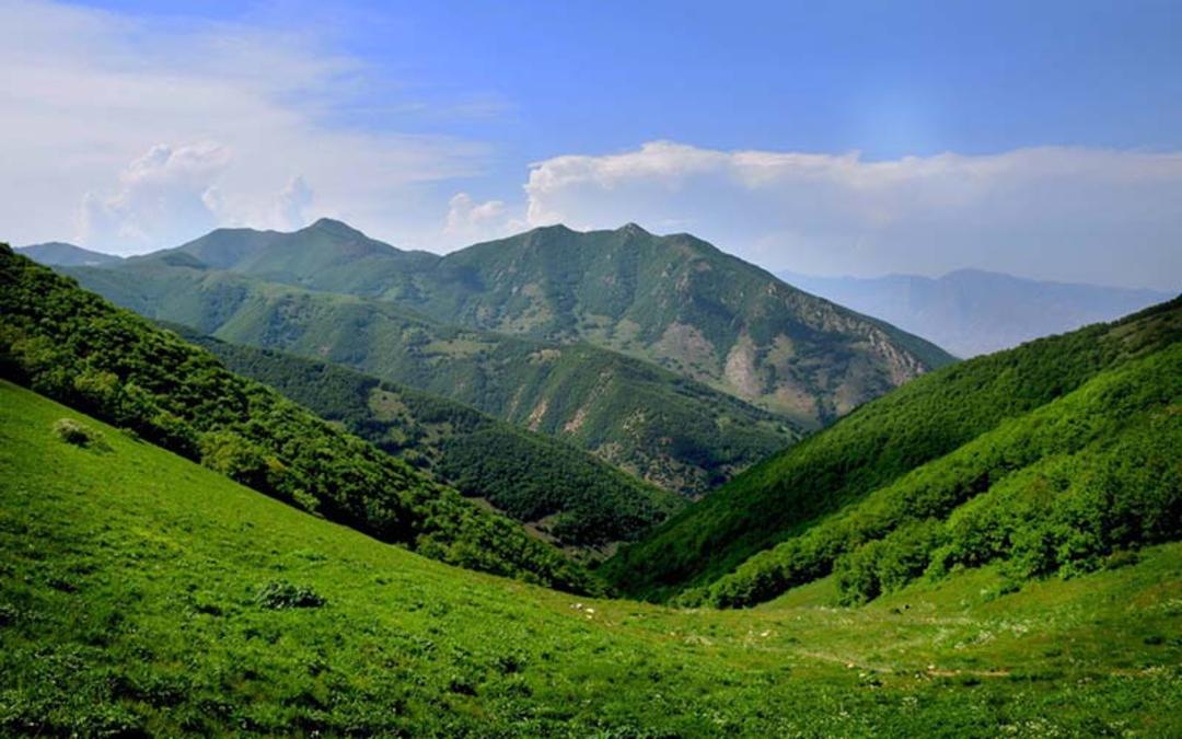 پوشش گیاهی سرسبز جنگل ارسباران