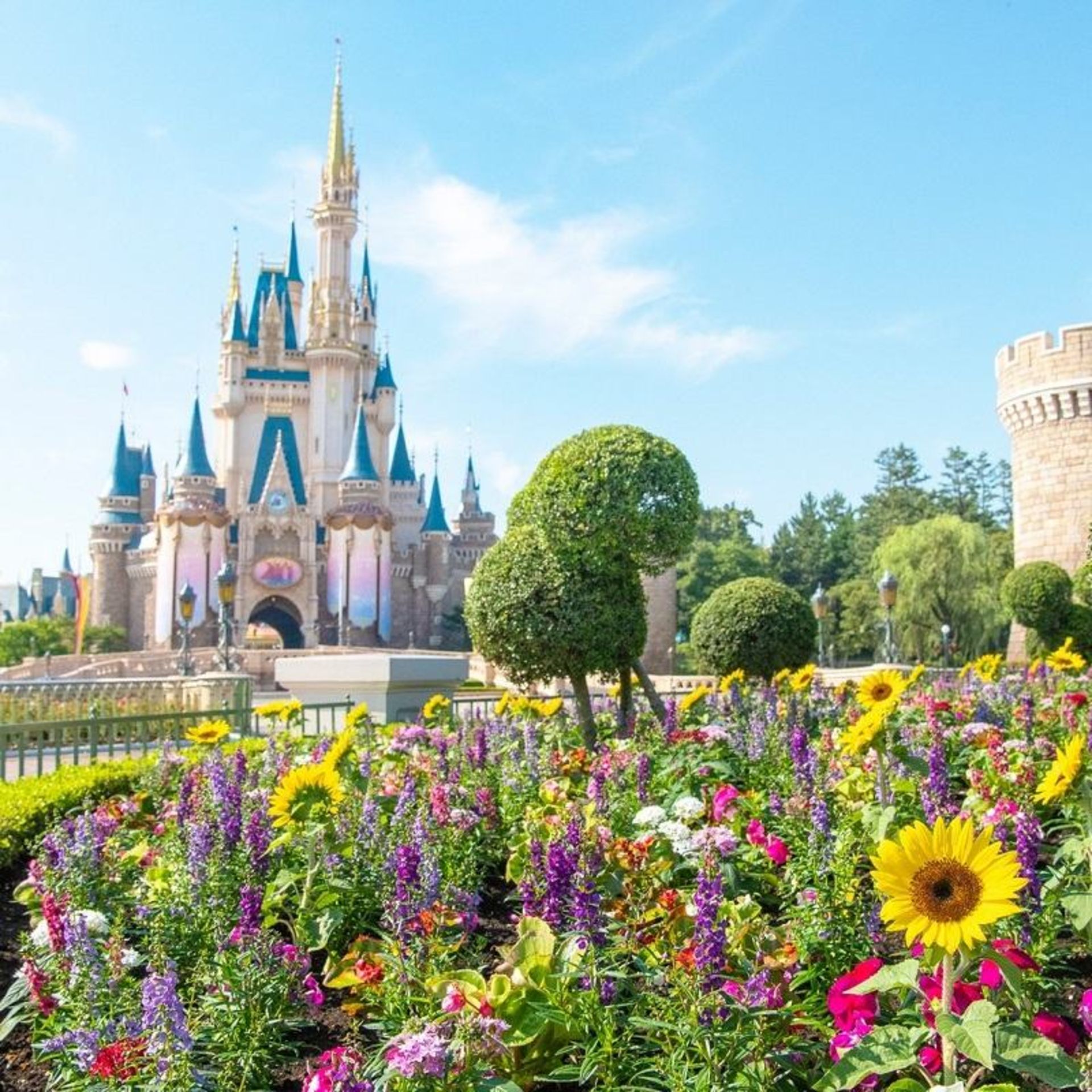 طبیعت حیاط مجموعه دیزنی لند توکیو؛ منبع عکس: اینستاگرام Tokyodisneyresort_official. عکاس: نامشخص