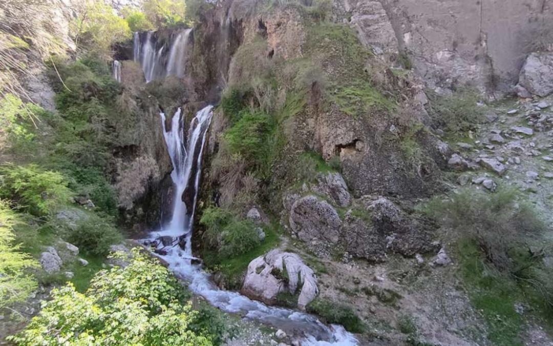 پوشش گیاهی آبشار شیوند، منبع عکس: گوگل مپ، عکاس: 