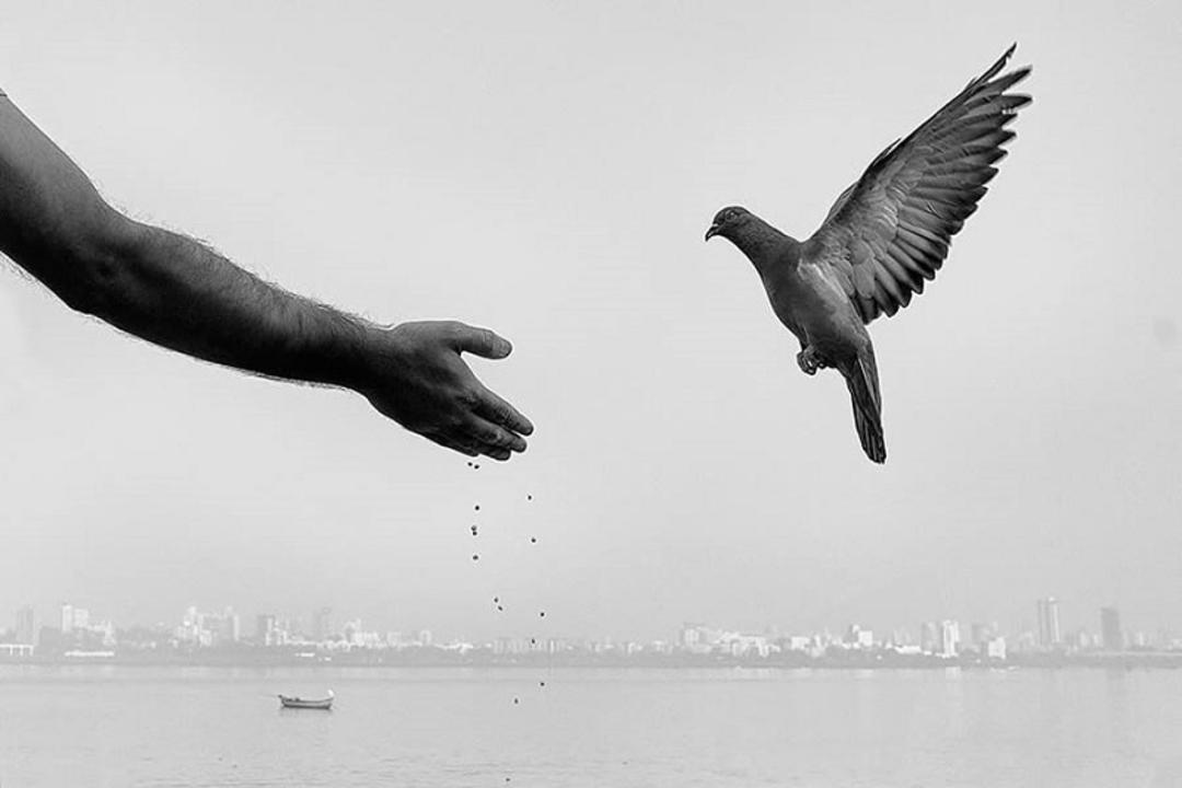 غذا دادن به پرنده در عکاسی خیابانی در هند ؛ منبع عکس: وب سایت 121clicks.com. عکاس: Prashant Godbole