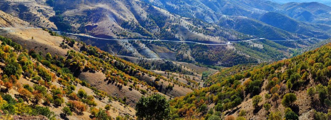 طبیعت سردشت در پاییز؛ منبع عکس: گوگل مپ: عکاس: ایوب فارابی