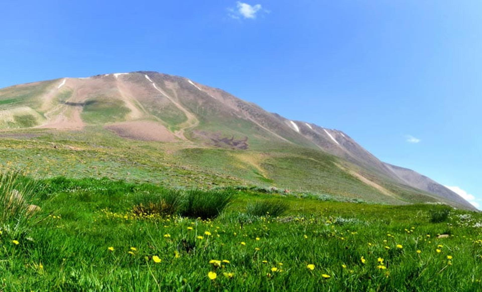 مسیر صعود به قله سهند در دامنه های سرسبز، منبع عکس: ویکی مدیا، عکاس: ایوب فارابی اصل