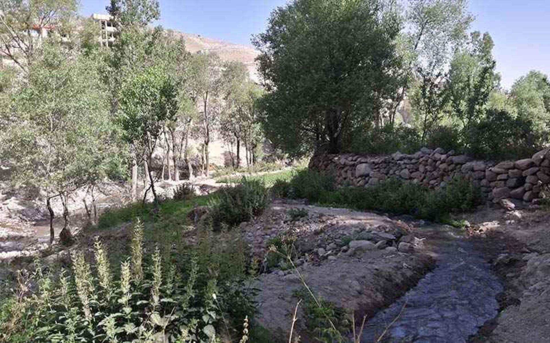 جریان رودخانه در میان باغ های سرسبز روستای لیقوان