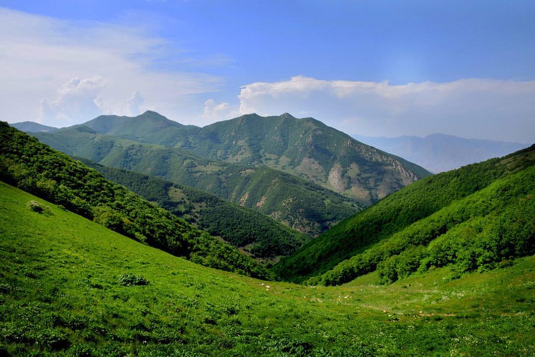 ارتفاعات سرسبز جنگل ارسباران