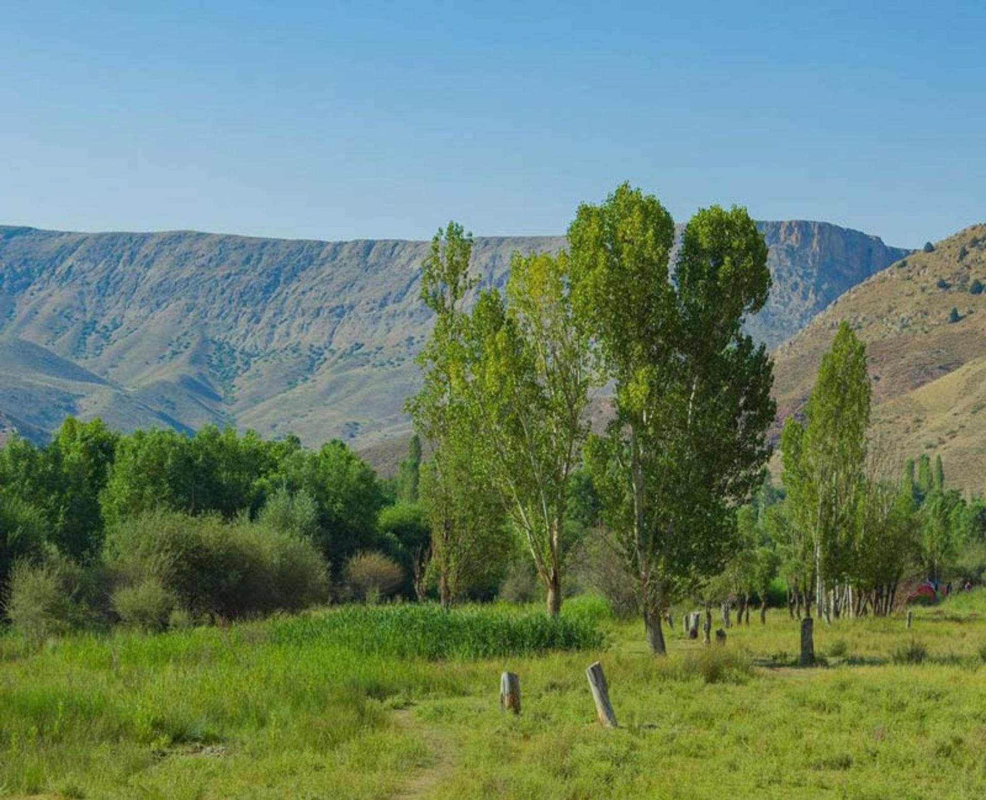 طبیعت سرسبز روستای هرانده فیروزکوه، منبع عکس: صفحه اینستاگرام yellinginthewind، عکاس: نامشخص