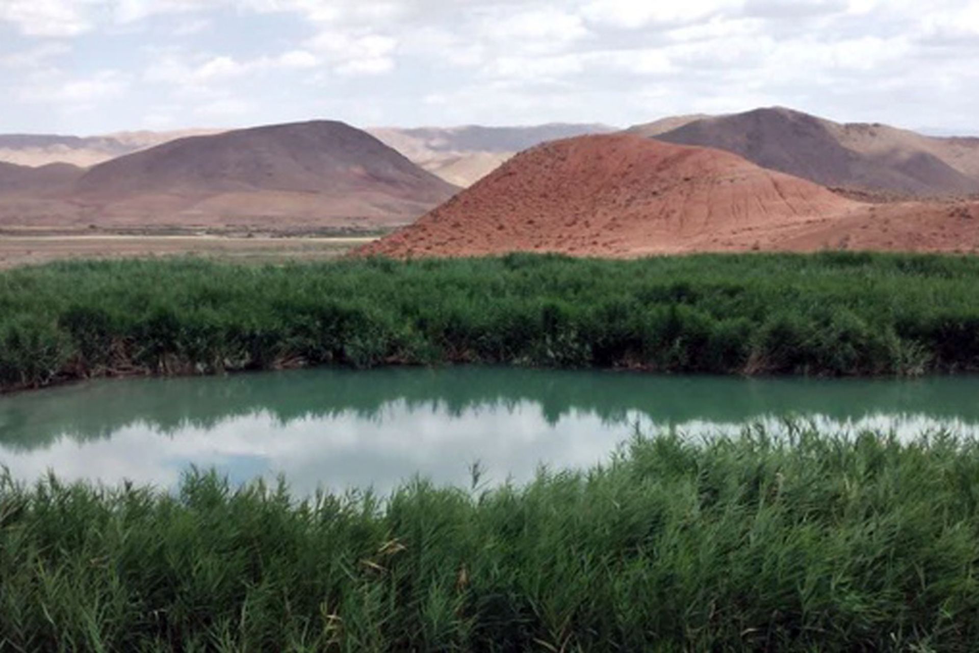 سی‌سر نیشابور