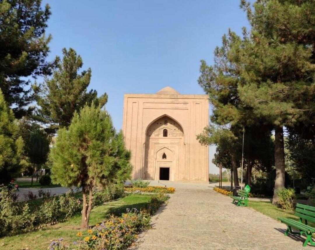 درختان بقعه هارونیه، منبع عکس: اینستاگرام، عکاس: dawn_of_mitran10@