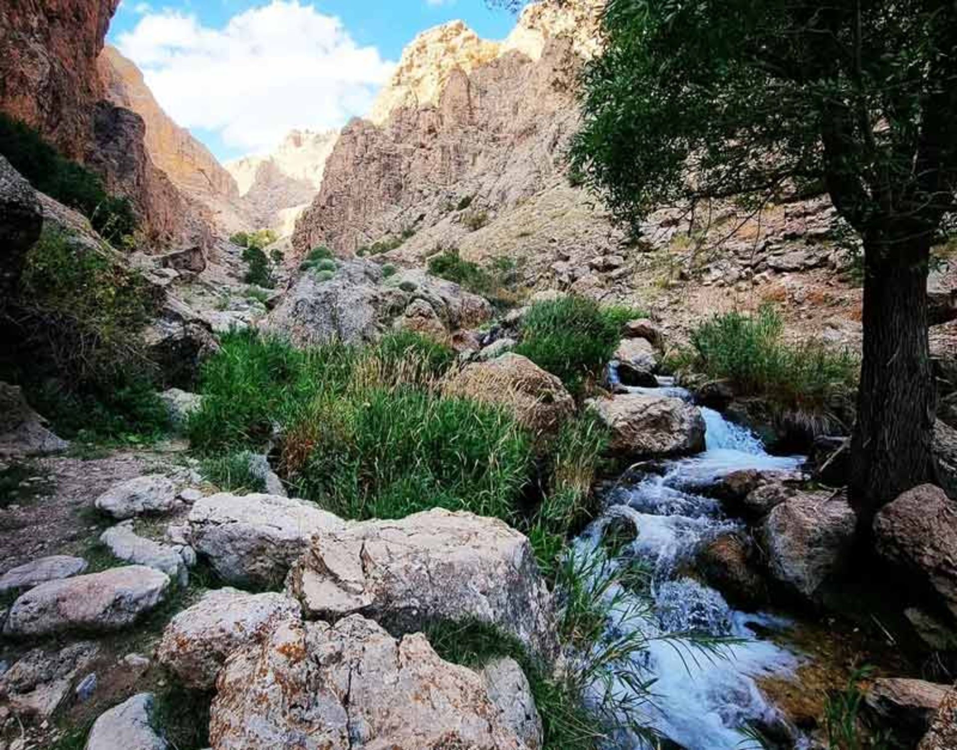 جریان رودخانه فرحرود در تنگه میشینه مرگ، منبع عکس: صفحه اینستاگرام ali_serajjj، عکاس: نامشخص