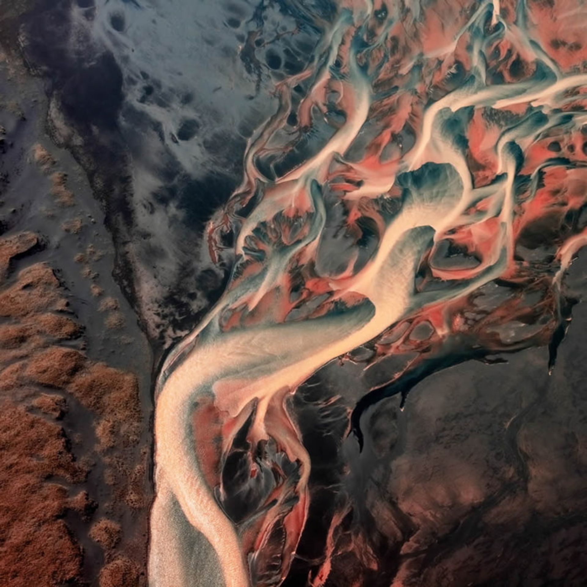 عکس برگزیده مسابقه عکاسی با عنوان چشم پرنده