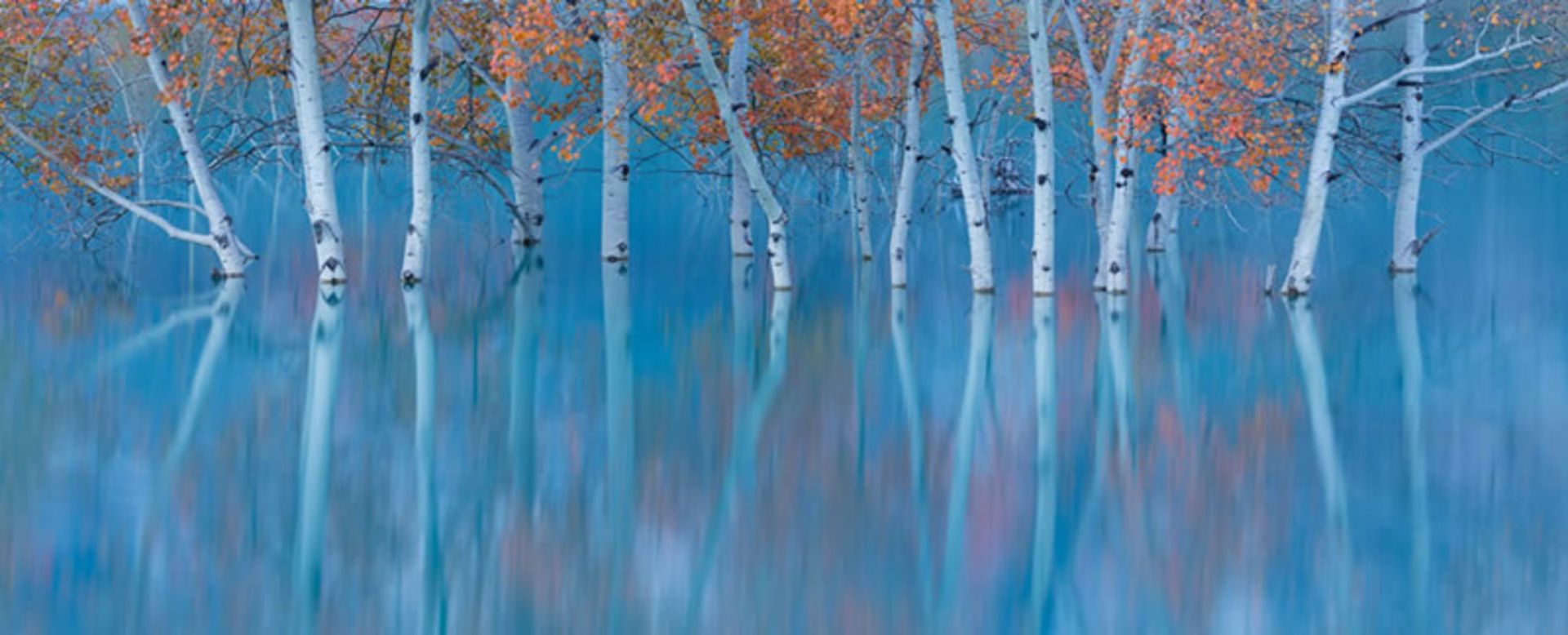 انعکاس تصویر درختان پاییزی در آب