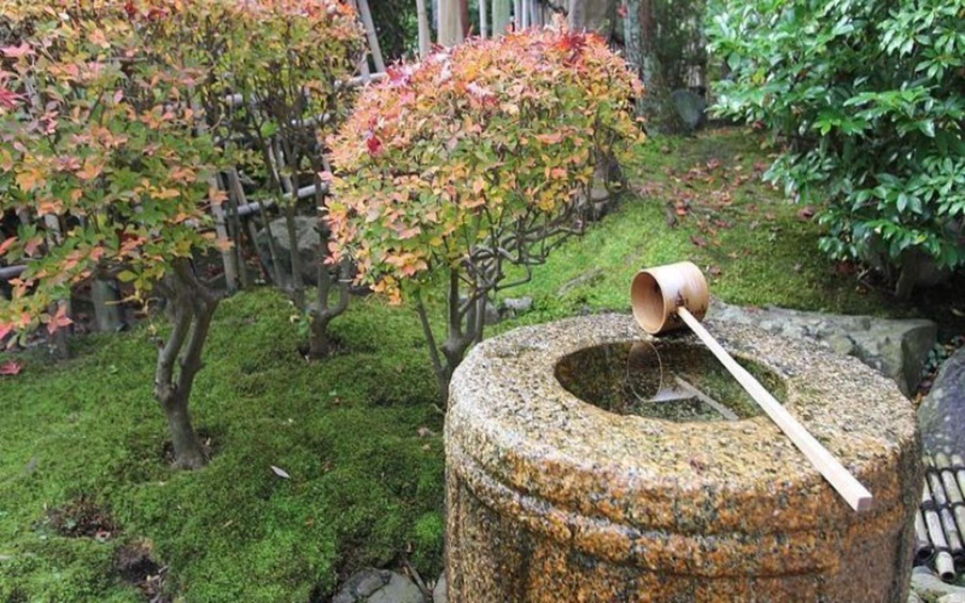 باغ برگزاری مراسم چای ژاپنی؛ عکس از سایت japan-guide.com. عکاس: نامشخص