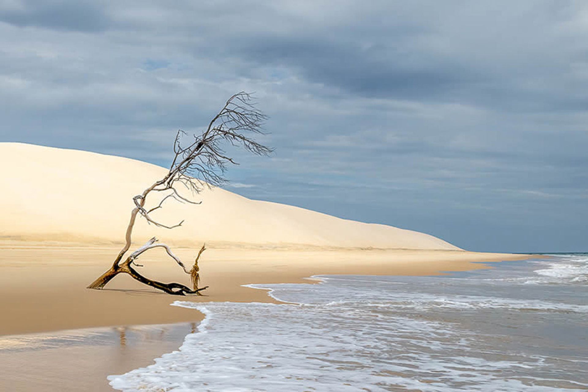 جزر و مد در ساحل استرالیا
