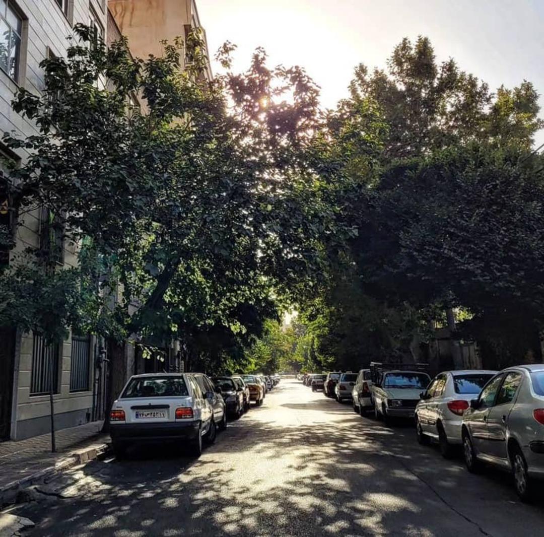 خیابانی پردرخت در منطقه سازمان برنامه بلوار فردوس؛ منبع عکس: Ferdows_blvd_Tehran، عکاس: نامشخص